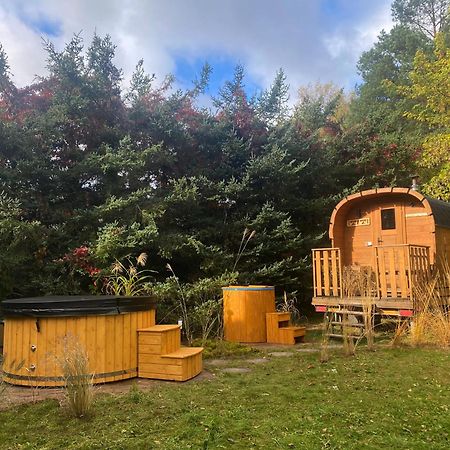 Szeroki Bor Oaza W Puszczy Z Sauna, Bania I Jacuzzi Dış mekan fotoğraf